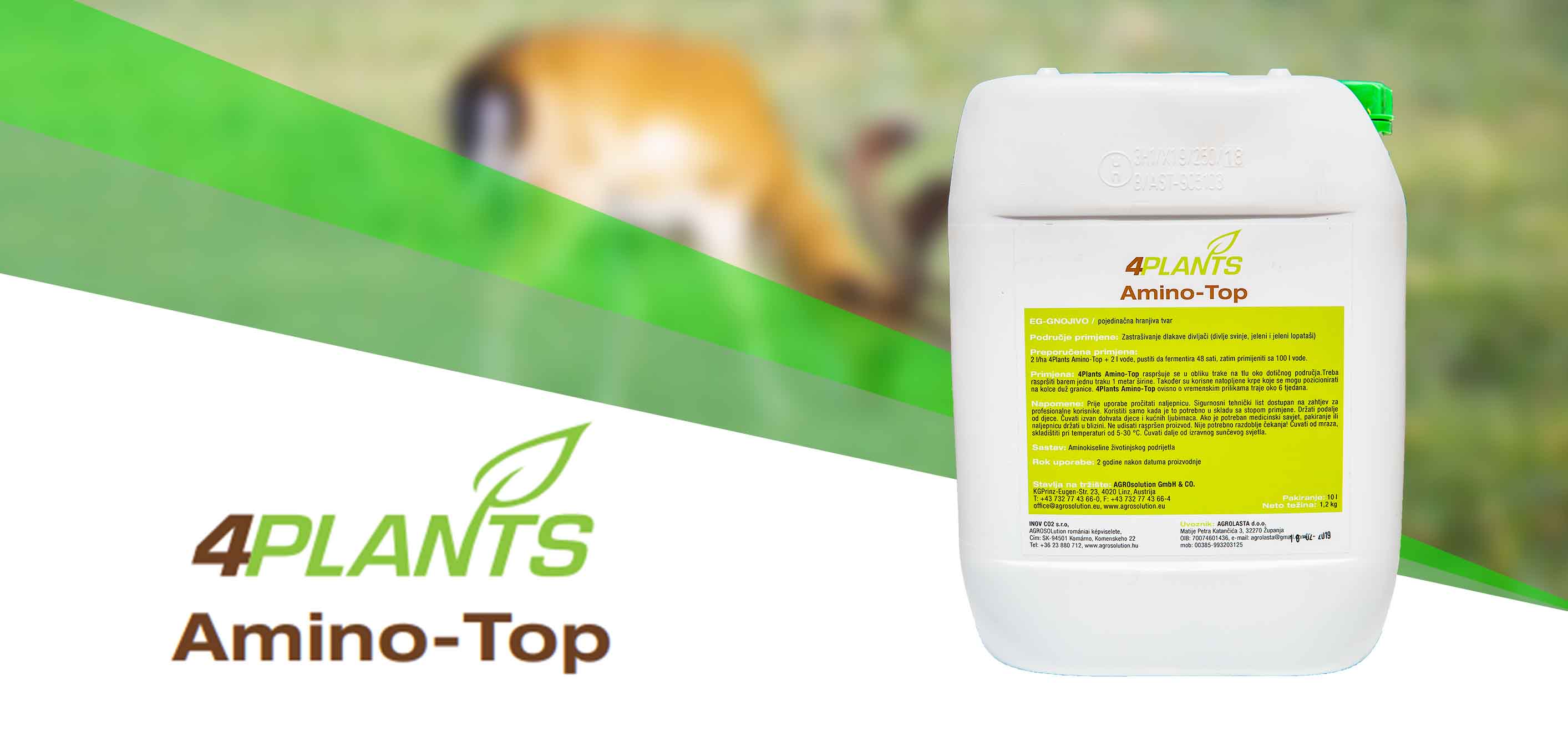 Amino Top