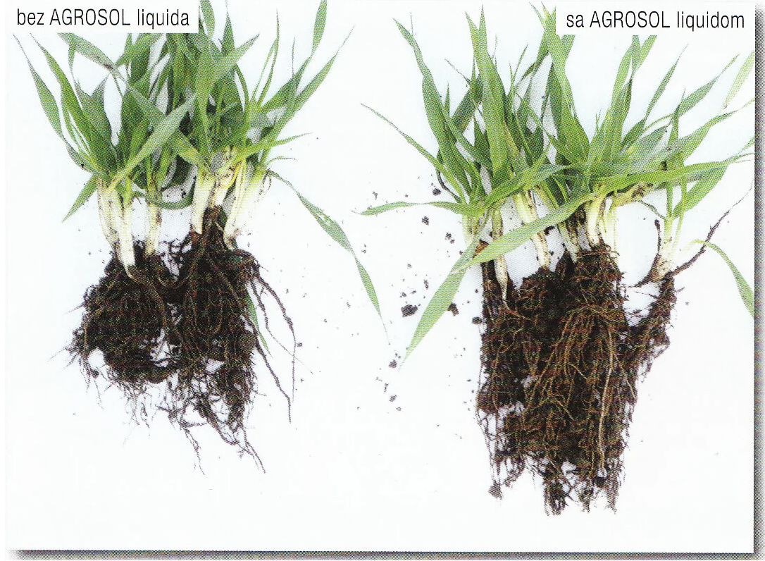 Agrosol Liquid