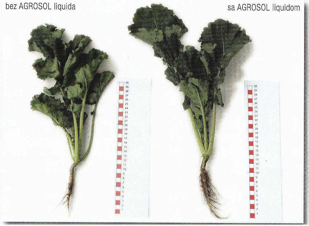 Agrosol Liquid